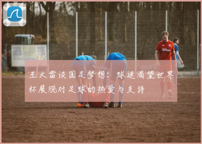 王大雷谈国足梦想：球迷渴望世界杯展现对足球的热爱与支持
